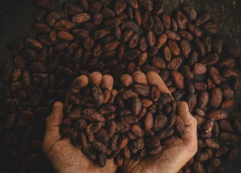 Circuit Evasion Colombienne (en petit groupe) - 2