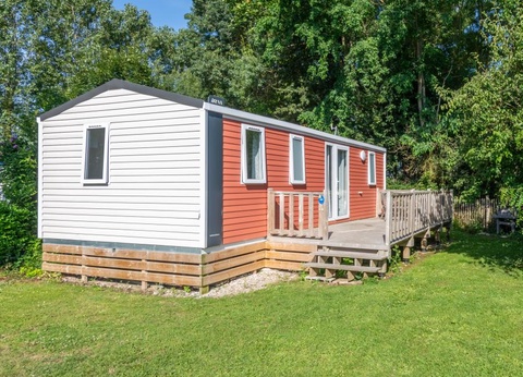 Flower Camping Vitamin, 4* - 52