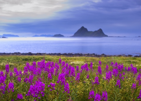 Circuit Mythiques Arctique, Lofoten & Cap Nord - 3