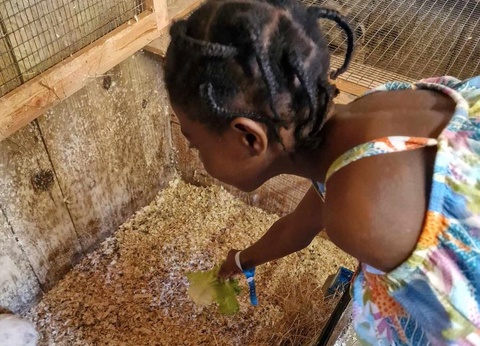 Camping Les P'tites Maisons dans la Prairie, 3* - 40