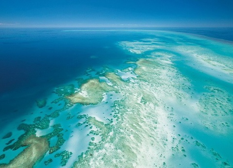 Odyssée Australienne + prologue Kangaroo Island - 10