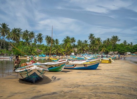 Circuit Carpe Diem au Sri Lanka - 27