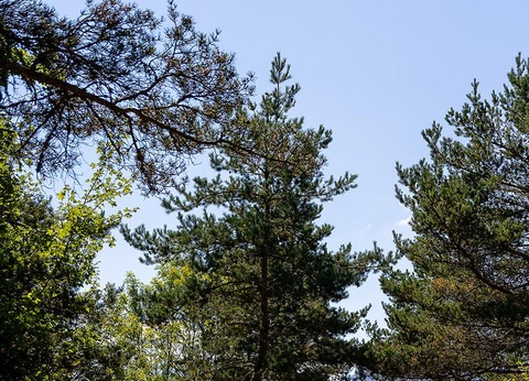 Camping Le Champ Long, 3* - 29