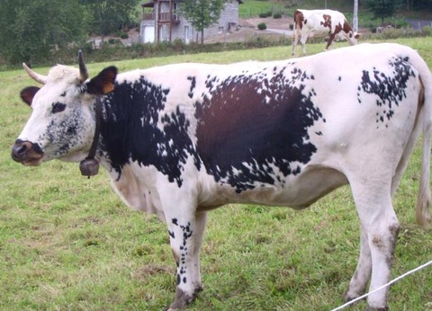 Camping L'Air du Temps, 3* - 16