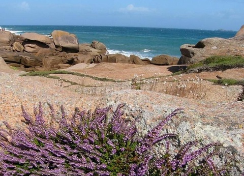 Camping West, 3* - 58