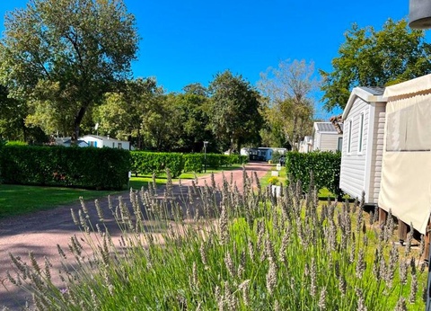 Camping Les Floralies, 4* - 33