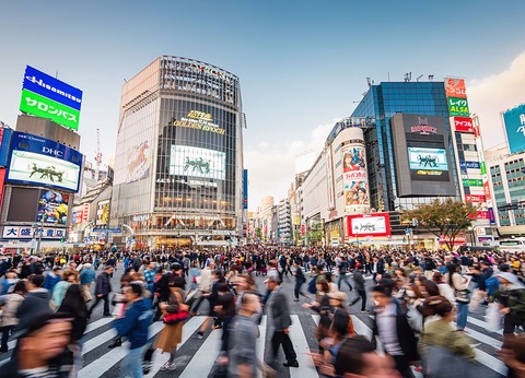 Circuit Japon du Soleil Levant - 4