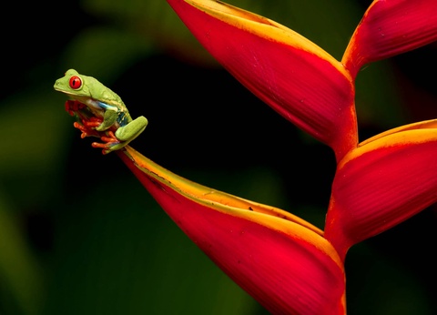 Circuit Aventures aux pays des Ticos - 5