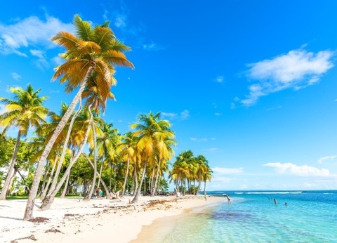 Autotour Trilogie créole en liberté - 29