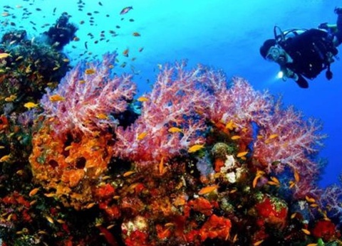 Camping Villaggio Nettuno, 3* - 4