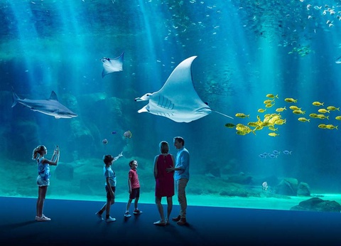 Week-end sur la Côte d'Opale avec entrée à l'Aquarium Nausicaa - 3* - 21