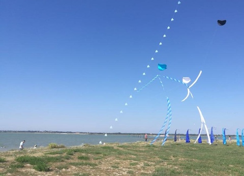 Flower Camping L'Abri-Côtier, 3* - 275