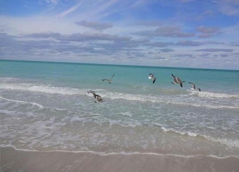 Camping Les Mouettes, 3* - 40