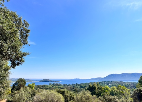 Résidence Royal Palm 3* - 29