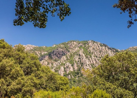 Camping Acqua E Sole, 4* - 41