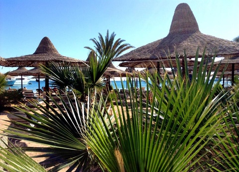 Combiné croisière Secrets d'Egypte & Hôtel Giftun Azur Resort - 30