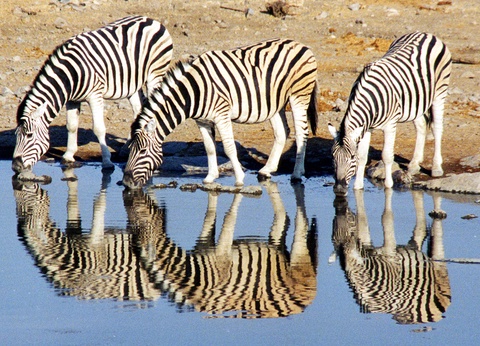 Sur la piste des Zoulous 3* avec extension réserve privée - 17