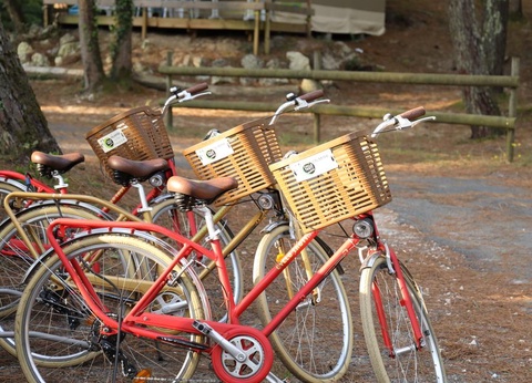 Camping Vacances André Trigano - Domaine de Montcalm, 4* - 32