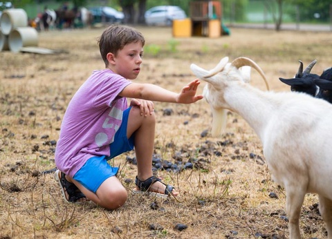 Camping Les Lacs d'Armagnac, 4* - 44