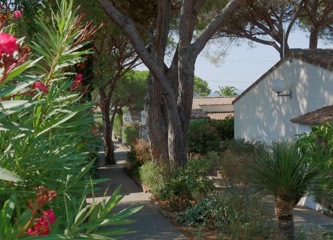 Les Résidences du Colombier, 3* - 34