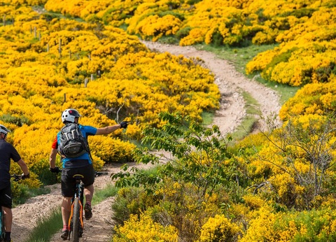 Camping Bel Air, 3* - 9