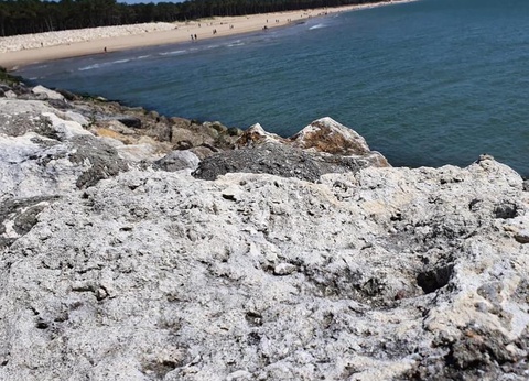 Camping du Petit Pont, 3* - 12