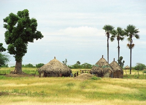 Circuit Sénégal intime et coloré du nord au sud *** - 25