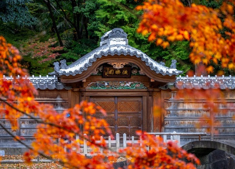 Circuit Japon, terre de contrastes **** - 9