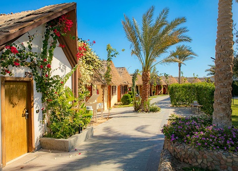 Ôclub Experience Panorama Bungalows Resort El Gouna 4* - 13