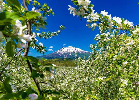 Grande boucle japonaise - Long circuit individuel en 3* - 5