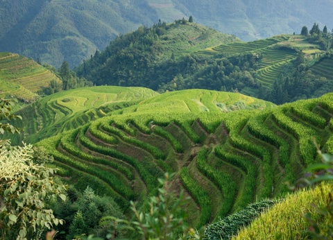 Circuit Chine traditionnelle Version 