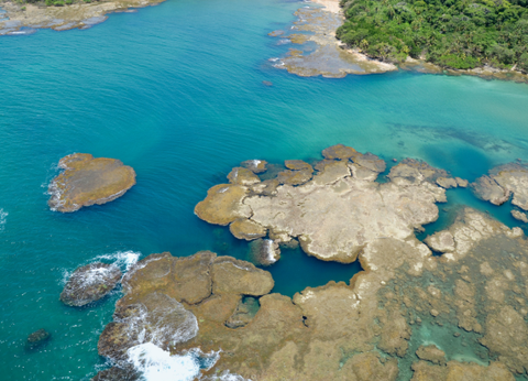 Circuit Panama Jungle Authentique - 16