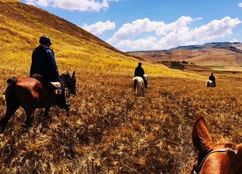 Camping Rais Gerbi, 4* - 53