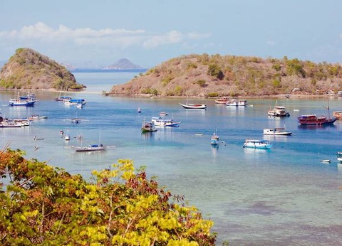 Circuit Iles et Volcans d'Indonésie - 26