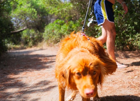 Gitavillage Club degli Amici - 32