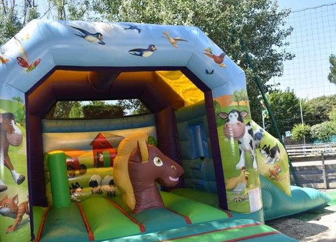 Flower Camping Le Petit Paris, 4* - 56