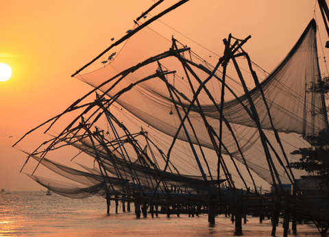 Circuit Couleurs de l'Inde du Sud : Temples, thé et traditions - 10