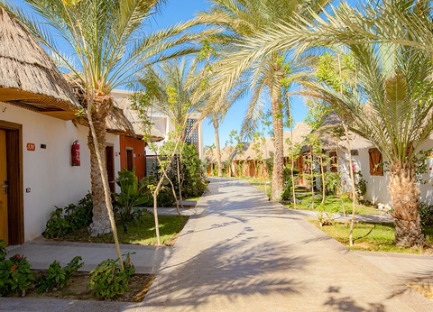 Ôclub Experience Panorama Bungalows Resort El Gouna 4* - 3