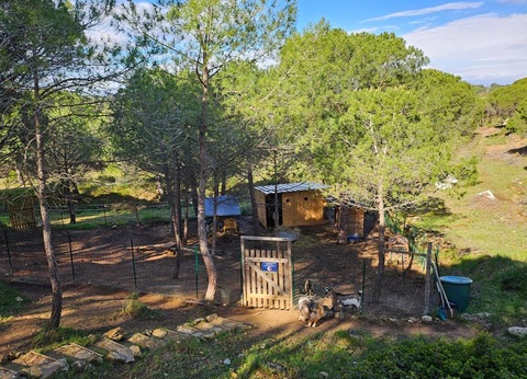 Camping Figurotta, 3* - 32