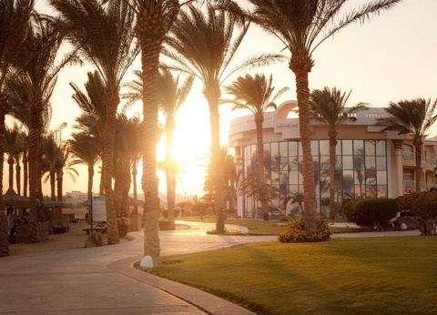 Combiné Déesses du Nil et Palm Royale Resort Soma Bay - 21