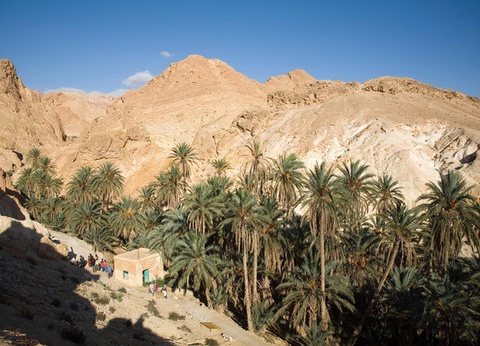 Circuit Beautés authentiques du sud tunisien 4* - 9