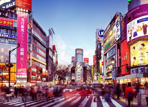 Circuit évènement : Hanami, le réveil des cerisiers - 6