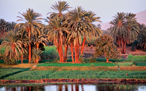 Circuit Duo Egyptien - 3