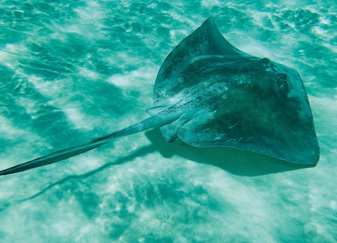 Hôtel Holbox, Île Lumière : Le secret du Yucatan 4* - 24