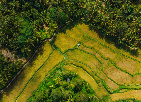 Combiné Rizières et Plage sur l'île des Dieux 4* - 21