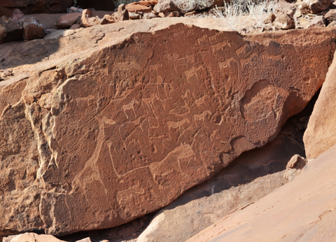 Circuit Namibie : Les plus vieux déserts du Monde **Version 2026** - 11