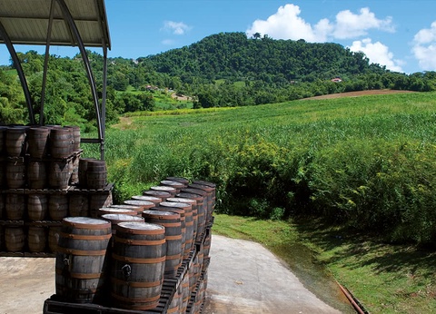 Autotour Martinique - 6