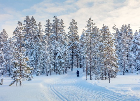 Club Jumbo Yllaskaltio (activités incluses) - 5