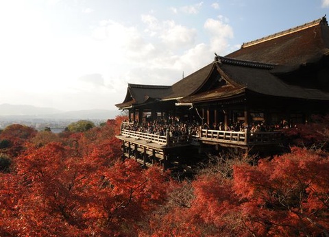 Merveilles du Japon & Alpes Japonaises & Extension Tokyo 15J/12N - 2025 - 17