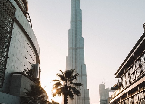 Dubai et ses Parcs - 3